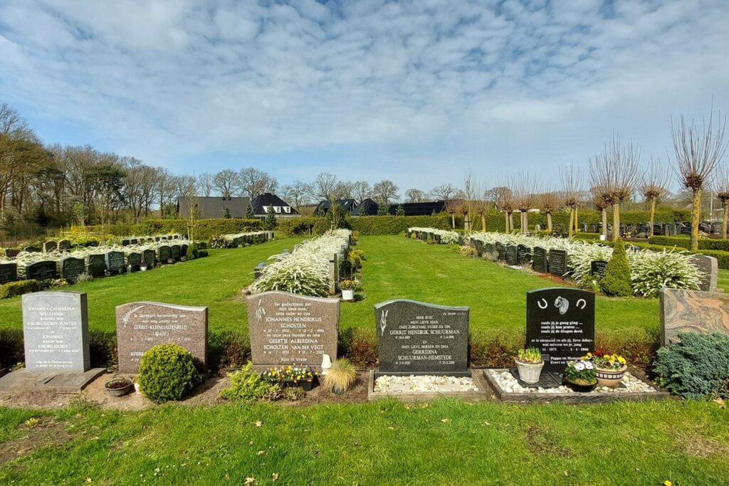 Dezelfde plek na de renovatie, met groen gras en bloeiende beplanting