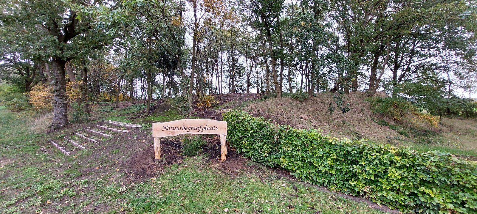 De natuurbegraafplaats van Lemele, omzoomd door bomen en een groene haag