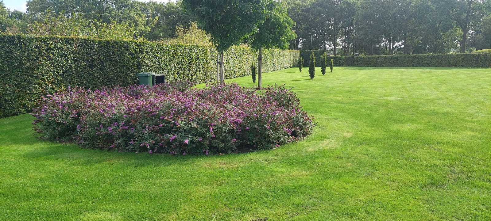 asverstrooiing-strooiveld
